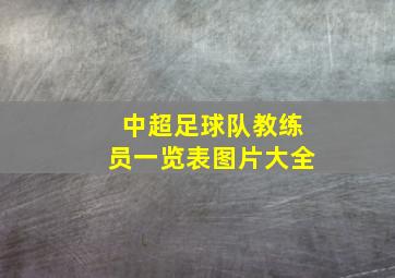 中超足球队教练员一览表图片大全