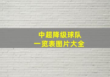 中超降级球队一览表图片大全