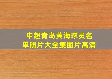 中超青岛黄海球员名单照片大全集图片高清