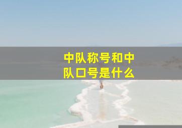 中队称号和中队口号是什么