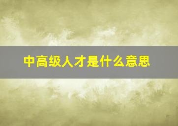 中高级人才是什么意思