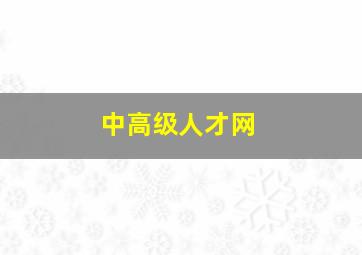 中高级人才网