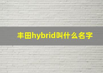 丰田hybrid叫什么名字