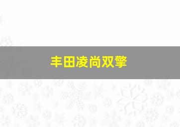 丰田凌尚双擎