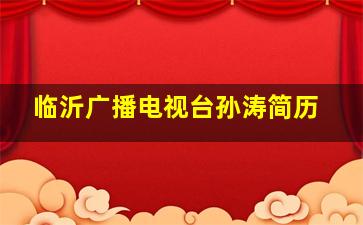 临沂广播电视台孙涛简历