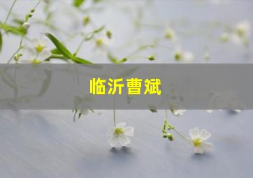 临沂曹斌