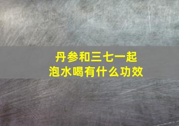 丹参和三七一起泡水喝有什么功效