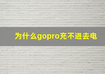 为什么gopro充不进去电