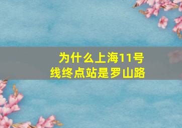 为什么上海11号线终点站是罗山路