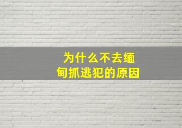 为什么不去缅甸抓逃犯的原因