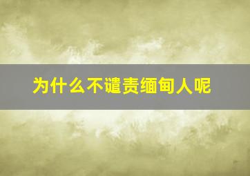 为什么不谴责缅甸人呢