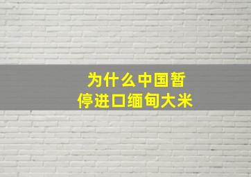 为什么中国暂停进口缅甸大米