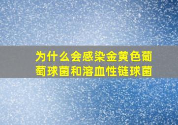 为什么会感染金黄色葡萄球菌和溶血性链球菌