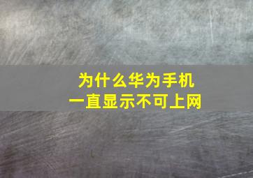 为什么华为手机一直显示不可上网