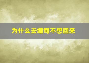 为什么去缅甸不想回来