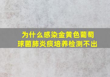 为什么感染金黄色葡萄球菌肺炎痰培养检测不出