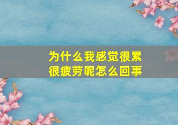 为什么我感觉很累很疲劳呢怎么回事