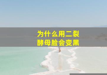 为什么用二裂酵母脸会变黑