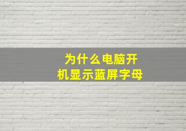 为什么电脑开机显示蓝屏字母