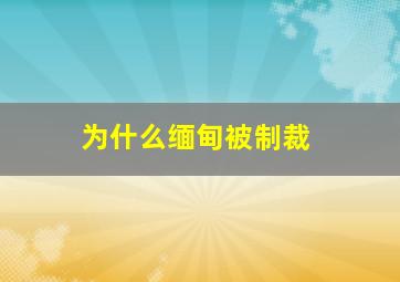 为什么缅甸被制裁