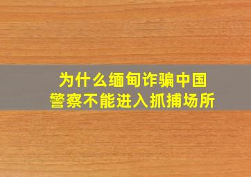 为什么缅甸诈骗中国警察不能进入抓捕场所