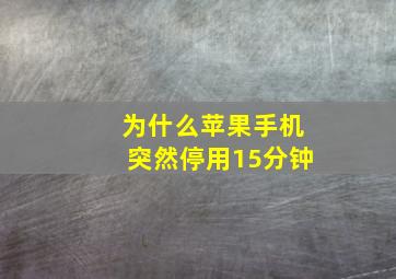 为什么苹果手机突然停用15分钟