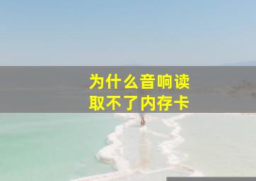 为什么音响读取不了内存卡