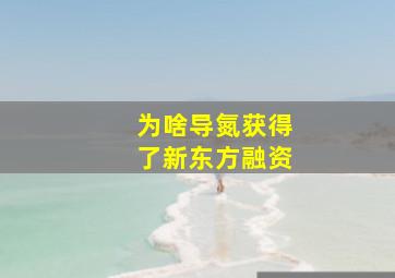 为啥导氮获得了新东方融资