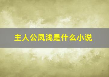 主人公凤浅是什么小说