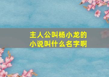 主人公叫杨小龙的小说叫什么名字啊