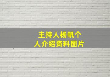 主持人杨帆个人介绍资料图片