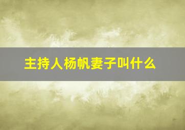 主持人杨帆妻子叫什么