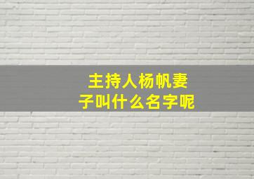 主持人杨帆妻子叫什么名字呢