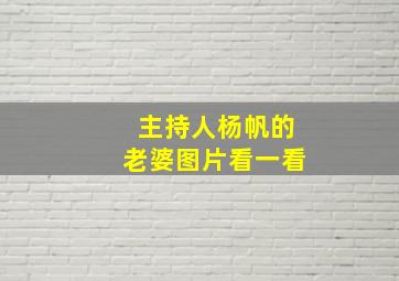 主持人杨帆的老婆图片看一看