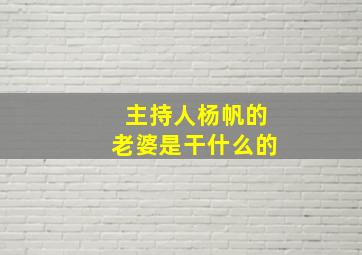 主持人杨帆的老婆是干什么的