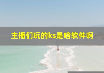 主播们玩的ks是啥软件啊