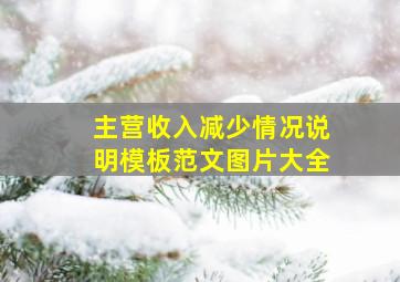 主营收入减少情况说明模板范文图片大全