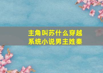 主角叫苏什么穿越系统小说男主姓秦