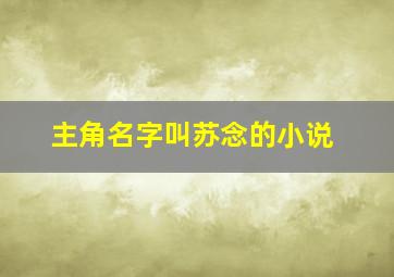 主角名字叫苏念的小说