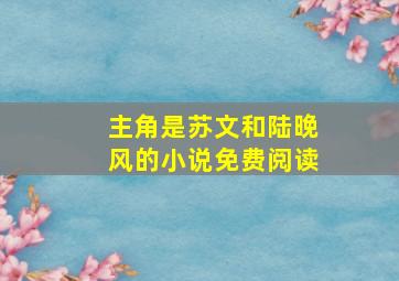 主角是苏文和陆晚风的小说免费阅读