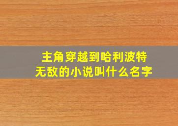 主角穿越到哈利波特无敌的小说叫什么名字