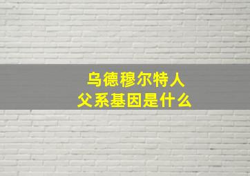 乌德穆尔特人父系基因是什么