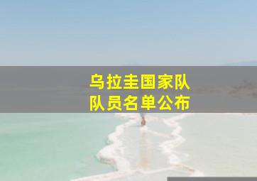 乌拉圭国家队队员名单公布