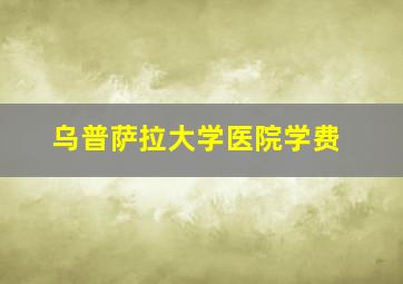 乌普萨拉大学医院学费