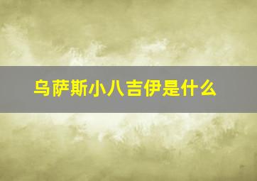 乌萨斯小八吉伊是什么