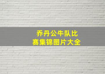 乔丹公牛队比赛集锦图片大全