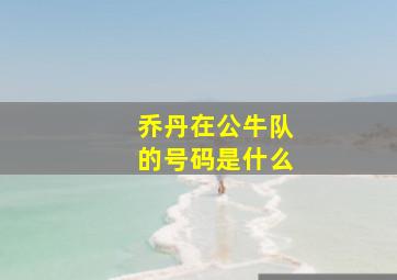 乔丹在公牛队的号码是什么