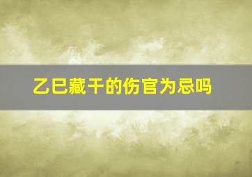 乙巳藏干的伤官为忌吗