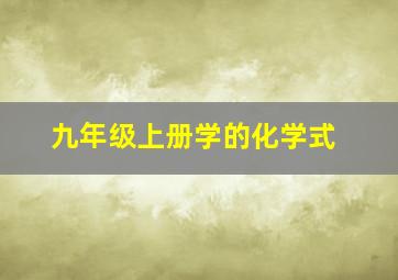 九年级上册学的化学式