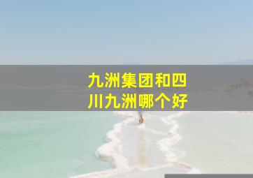 九洲集团和四川九洲哪个好